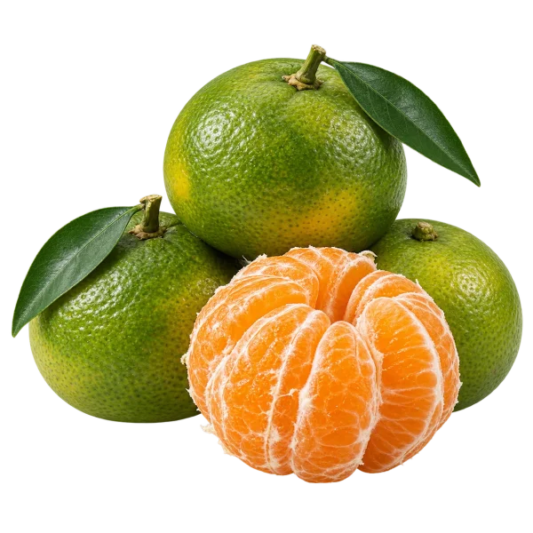 Мандарины