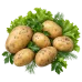 Картофель