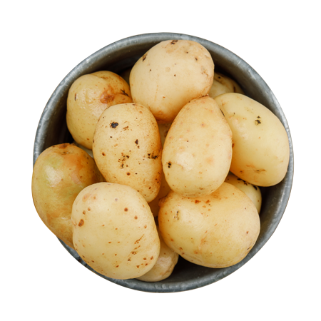 Картофель ранний (Сорт "Уладар")